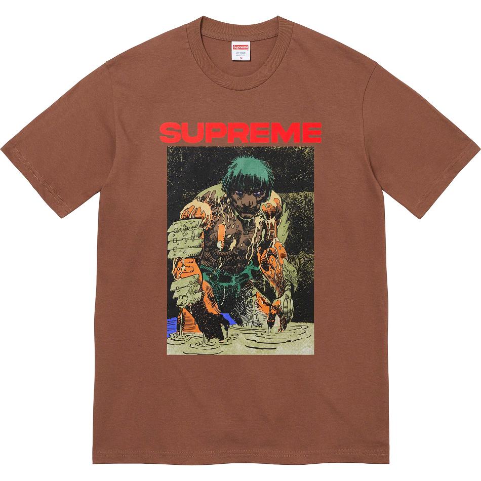 Camiseta Supreme Ronin Tee Marrones | AR351QZ