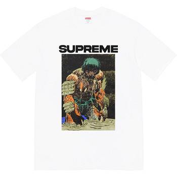 Camiseta Supreme Ronin Tee Blancas | AR354RW