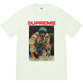 Camiseta Supreme Ronin Tee Verde Menta | AR353EX