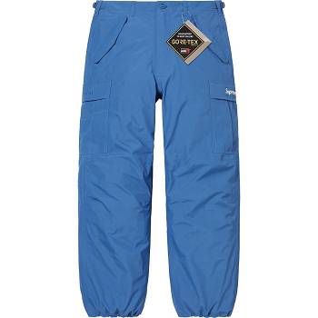 Pantalones Supreme GORE-TEX PACLITE® Cargo Pant Azules | AR180SO